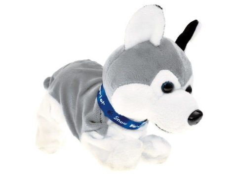 Interaktywny piesek, pies - reaguje na dotyk