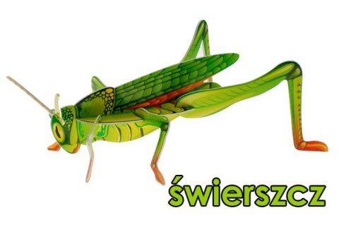 Puzzle 3D - robaki, owady