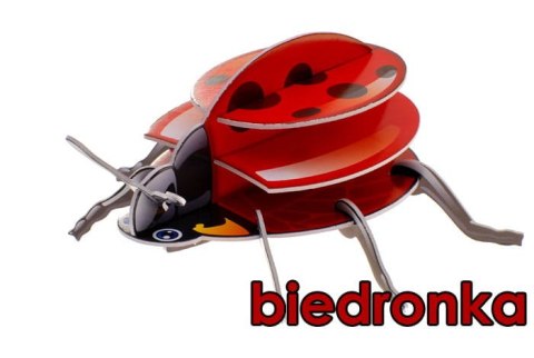 Puzzle 3D - robaki, owady