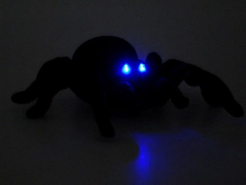 Pająk RC - zdalnie sterowany na pilota