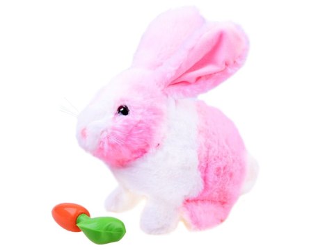 Interaktywny KRÓLIK zwierzaczek - chrupaczek