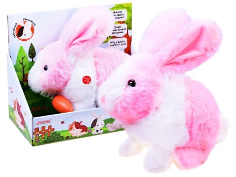 Interaktywny KRÓLIK zwierzaczek - chrupaczek