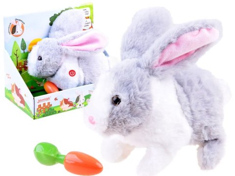 Interaktywny KRÓLIK zwierzaczek - chrupaczek