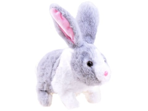 Interaktywny KRÓLIK zwierzaczek - chrupaczek