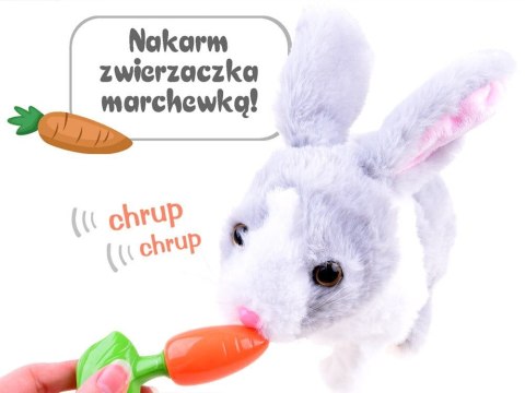 Interaktywny KRÓLIK zwierzaczek - chrupaczek