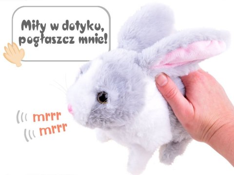 Interaktywny KRÓLIK zwierzaczek - chrupaczek