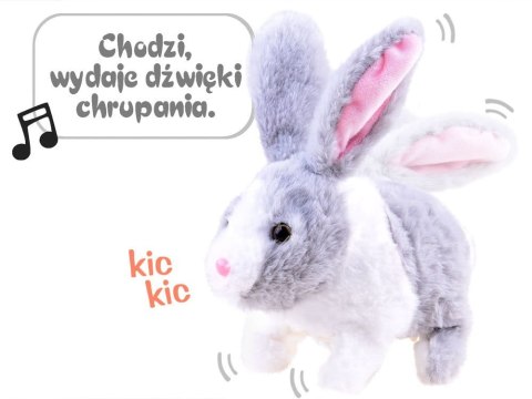 Interaktywny KRÓLIK zwierzaczek - chrupaczek