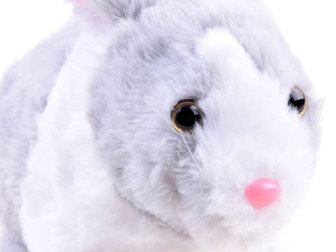 Interaktywny KRÓLIK zwierzaczek - chrupaczek