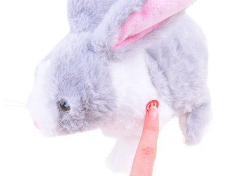 Interaktywny KRÓLIK zwierzaczek - chrupaczek