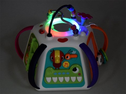 Hola interaktywna edukacyjna multikostka