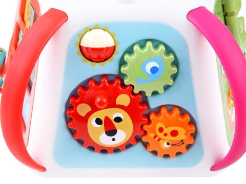 Hola interaktywna edukacyjna multikostka