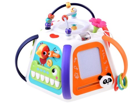 Hola interaktywna edukacyjna multikostka