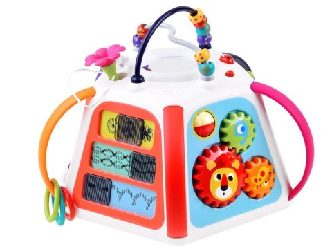 Hola interaktywna edukacyjna multikostka