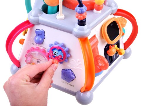 Interaktywna Multikostka edukacyjna