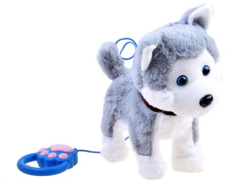 Interaktywny PIES piesek HUSKY na smyczy