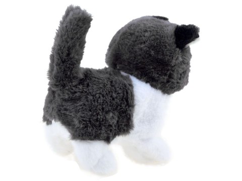 MASKOTKA Interaktywny Kotek Psotek KOT