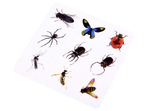 Prehistoryczny BURSZTYN zestaw kreatywny