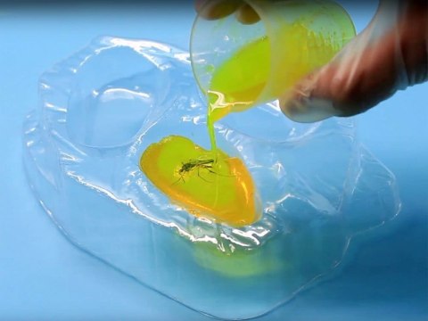 Prehistoryczny BURSZTYN zestaw kreatywny