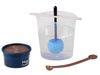 Zestaw Hodowla kryształów drzewko szczęścia - zestaw doświadczalny