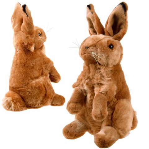 Maskotka ZAJĄC siedzący pluszowy KRÓLIK 25cm