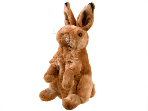 Maskotka ZAJĄC siedzący pluszowy KRÓLIK 25cm