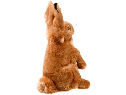 Maskotka ZAJĄC siedzący pluszowy KRÓLIK 25cm