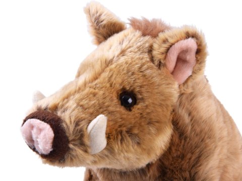 Maskotka pluszowy DZIK Pumba świnka 23cm