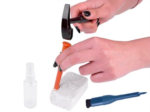 SZKIELET wykopaliska Dinozaury Tyranozaur Rex 6w1