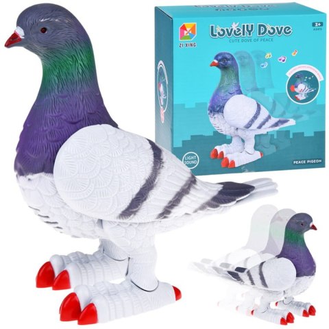 Interaktywny GOŁĄB chodzi gra świeci