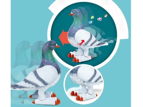 Interaktywny GOŁĄB chodzi gra świeci