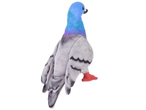 Maskotka pluszowy GOŁĄB miejski 22cm pluszak gołąbek
