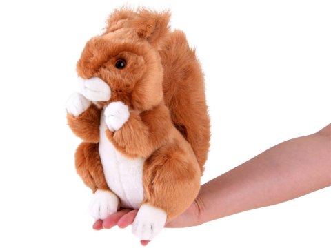 Maskotka ruda WIEWIÓRKA pospolita 22cm pluszowa pluszak