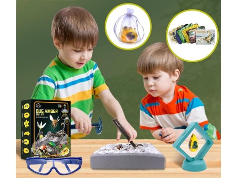 WYKOPALISKA skamieliny OWADY bursztyny MAŁY ARCHEOLOG