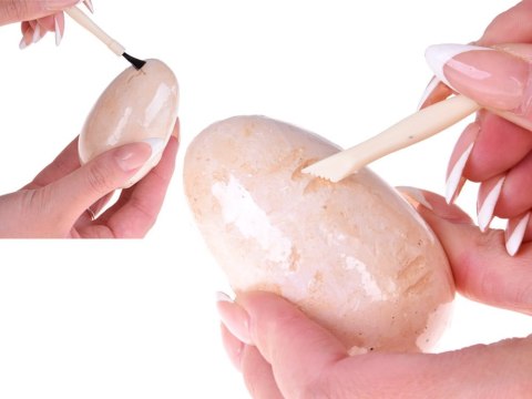 Zestaw Archeologiczny 12 Dużych Jaj + karty Odkryj Świat Dinozaurów