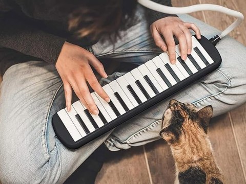 Instrument muzyczny Melodyka Harmonijka klawiszowa etui dwa ustniki