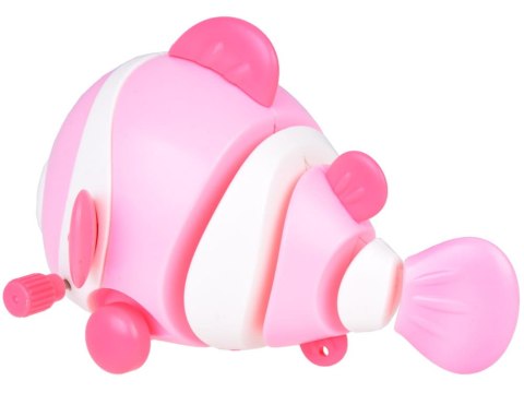 Kolorowa Rybka nakręcana jeżdżąca błazenek ruchomy ogonek