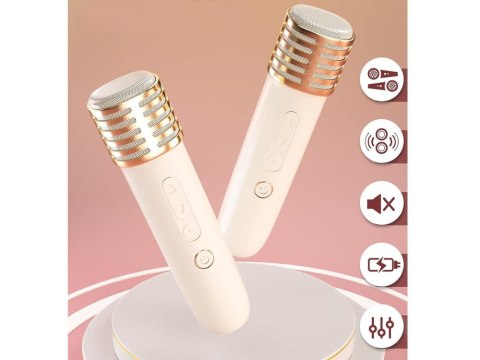 Mikrofony z głośnikiem bezprzewodowy + bluetooth + 2 mikrofony