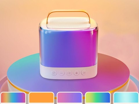 Mikrofony z głośnikiem bezprzewodowy + bluetooth + 2 mikrofony