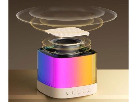 Mikrofony z głośnikiem bezprzewodowy + bluetooth + 2 mikrofony