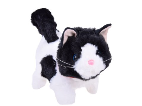 Interaktywny pluszowy Kot ŁATKA chodzi miauczy rusza ogonkiem