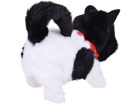 Interaktywny pluszowy Kot ŁATKA chodzi miauczy rusza ogonkiem