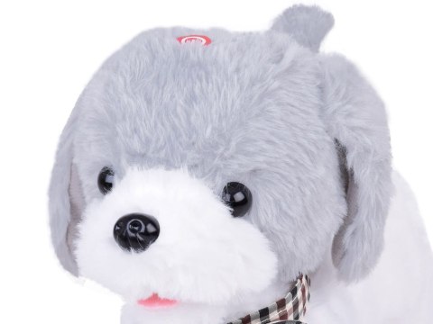 Interaktywny pluszowy Piesek CHARLIE Chodzi Szczeka Skomle + pilot