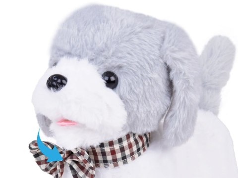 Interaktywny pluszowy Piesek CHARLIE Chodzi Szczeka Skomle + pilot