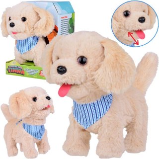 Interaktywny pluszowy Piesek biszkoptowa TINKA Chodzi Szczeka Liże