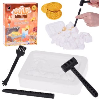 Mały archeolog wykopaliska monety kopalnia złota szukanie skarbów