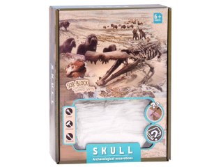 Zestaw archeologiczny Wykop niespodziankę skamieniałe CZASZKI