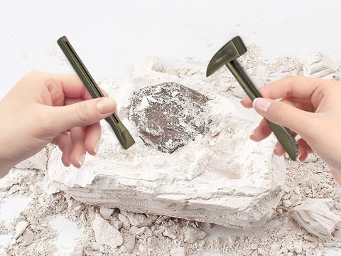 Zestaw archeologiczny Wykop niespodziankę skamieniałe LIŚCIE i KOŚCI